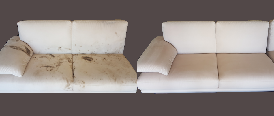 Upholstery Cleaning